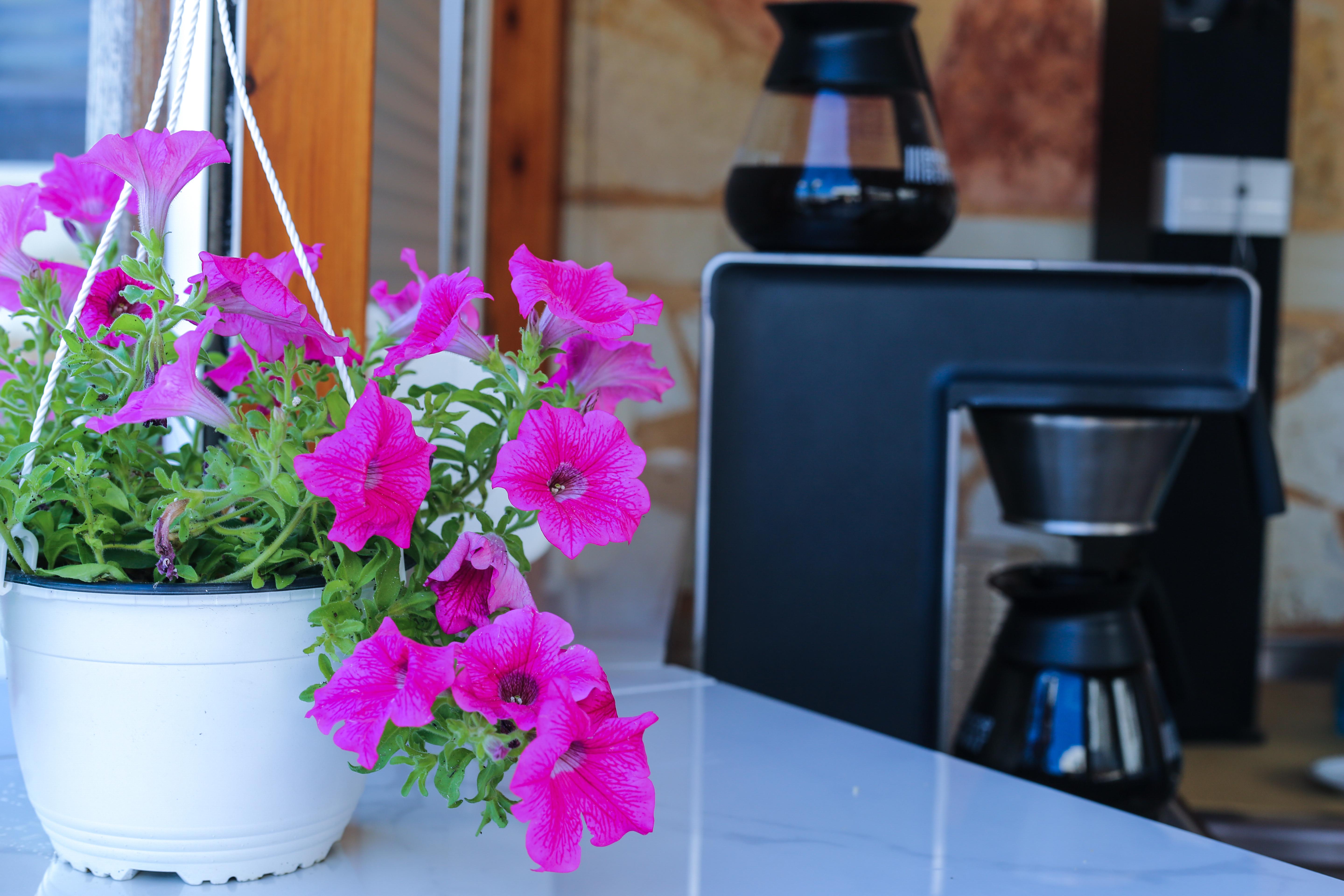 Mandy Suites Kissamos Bagian luar foto